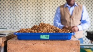 normativa sobre tabaco al por mayor