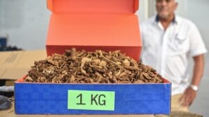 legislación sobre la venta de tabaco