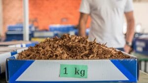 certificado sanitario para tabaco