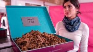 tabaco de liar vs tabaco industrializado