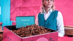 demanda de tabaco de liar por kilos