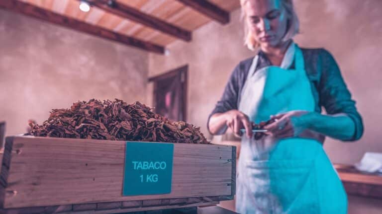 impacto de la crisis en el consumo