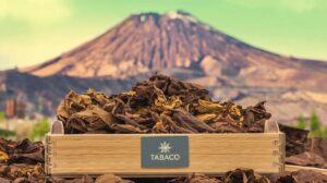 pago seguro para comprar tabaco