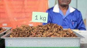 tabaco sin aditivos por kilos