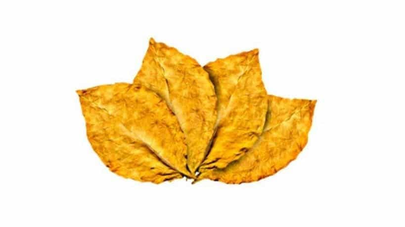 tabaco lemon por kilos