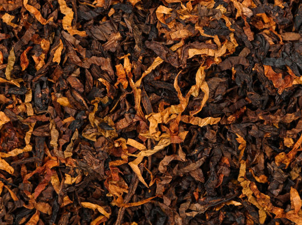 tabaco de liar